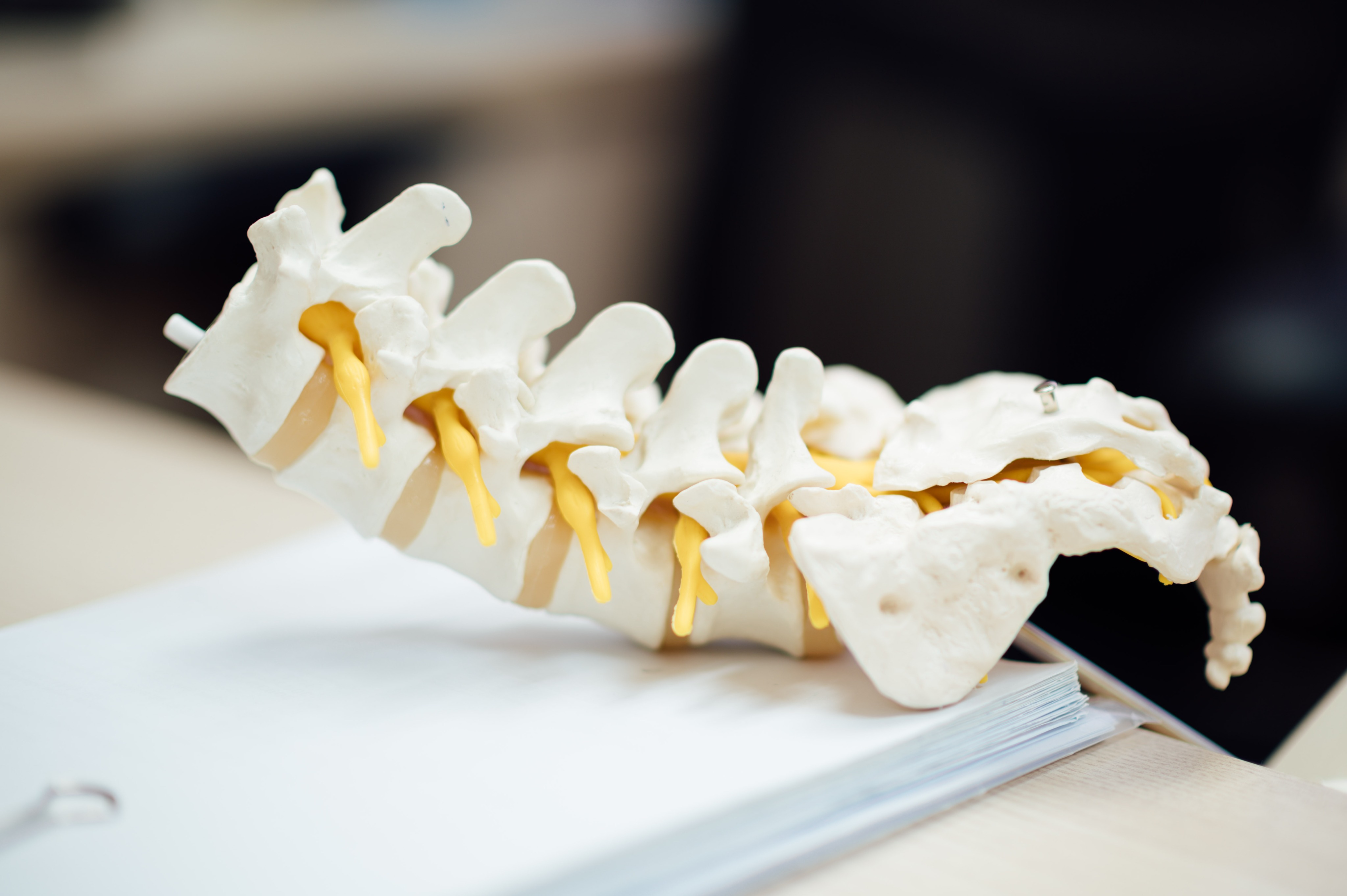 Best chiropractor in Union City NJ
